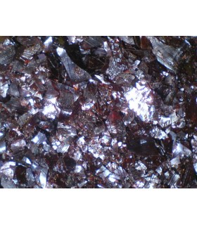 Schellak Garnet