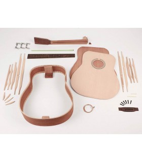 Kit d'assemblage guitare Boston AGD-15