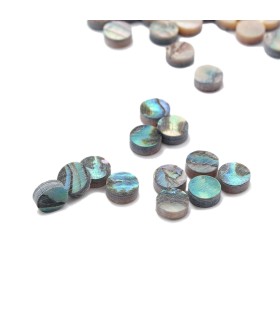 Abalone dotjes 6mm