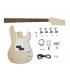 Boston guitar kit PB-15
