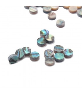 Abalone dots 2mm